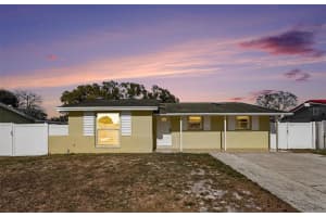 9031 Tree Valley Cir, TAMPA