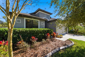 8328 AUBURN RISE COURT, LAND O LAKES, FL 34638 - MLS#MFRTB8470249