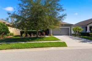 8328 AUBURN RISE COURT, LAND O LAKES, FL 34638 - MLS#MFRTB8470249