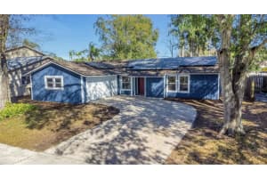 15911 Country Farm Pl, TAMPA