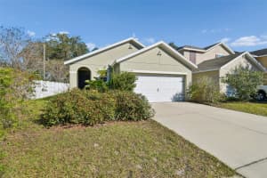 10104 HAWK STORM AVENUE, TAMPA, FL 33610 - MLS#MFRTB8470307