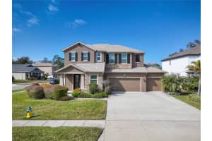 1277 WINDY BAY SHOAL, TARPON SPRINGS, FL 34689 - MLS#MFRTB8470347
