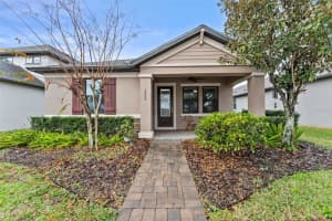 3095 RIDERS PASS, ODESSA, FL 33556 - MLS#MFRTB8470348