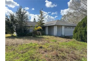 602 Caribou Ct, KISSIMMEE