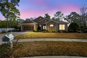 15198 SURREY BEND, SPRING HILL, FL 34609 - MLS#MFRTB8470440