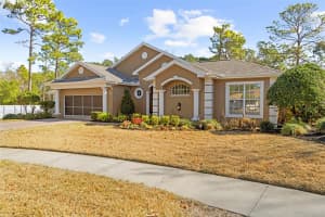 15198 SURREY BEND, SPRING HILL, FL 34609 - MLS#MFRTB8470440