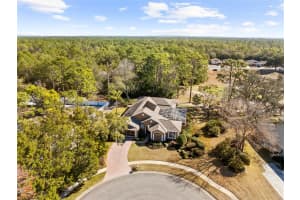 15198 SURREY BEND, SPRING HILL, FL 34609 - MLS#MFRTB8470440