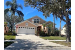 18050 Arbor Crest Dr, TAMPA