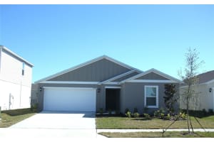 11249 BRAE WAY, SAN ANTONIO, FL 33576 - MLS#MFRTB8470463