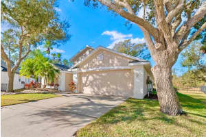 5825 HAWKWOOD COURT, LITHIA, FL 33547 - MLS#MFRTB8470468