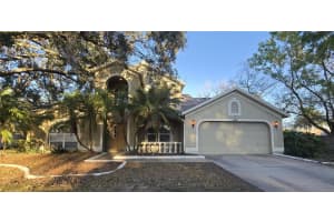 1334 Scattered Pines Pl, WESLEY CHAPEL 1334 Scattered Pines Pl, WESLEY CHAPEL
