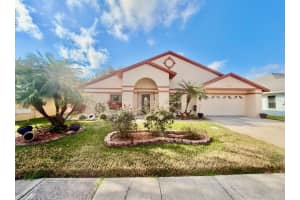 9611 Cypress Brook Rd, TAMPA