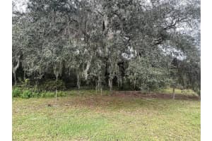 27751 VIRGIL HAWKINS CIRCLE, OKAHUMPKA, FL 34762 - MLS#MFRTB8470538
