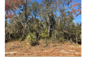 4307 CASTLE AVENUE, SPRING HILL, FL 34609 - MLS#MFRTB8470574