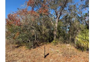 4307 CASTLE AVENUE, SPRING HILL, FL 34609 - MLS#MFRTB8470574