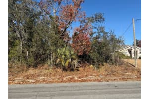 4307 CASTLE AVENUE, SPRING HILL, FL 34609 - MLS#MFRTB8470574