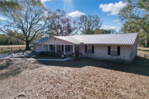 1303 E Trapnell Rd, PLANT CITY