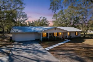 1303 TRAPNELL ROAD, PLANT CITY, FL 33566 - MLS#MFRTB8470581