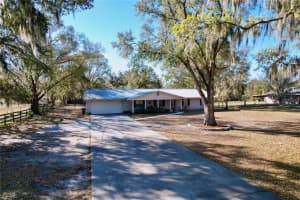 1303 TRAPNELL ROAD, PLANT CITY, FL 33566 - MLS#MFRTB8470581