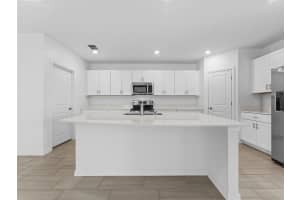 11628 RADIANT SHORE LOOP, SAN ANTONIO, FL 33576 - MLS#MFRTB8470594