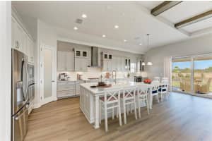 2058 ARCHING BRANCH DRIVE, ZEPHYRHILLS, FL 33541 - MLS#MFRTB8470627