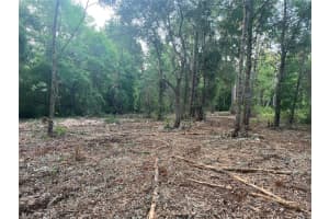 10117 ORLAND STREET, NEW PORT RICHEY, FL 34654 - MLS#MFRTB8470631