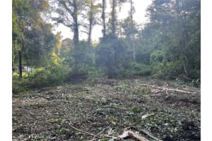 10117 ORLAND STREET, NEW PORT RICHEY, FL 34654 - MLS#MFRTB8470631