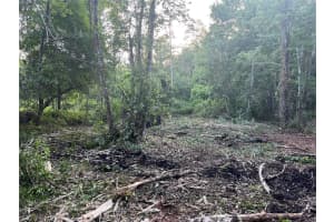 10117 ORLAND STREET, NEW PORT RICHEY, FL 34654 - MLS#MFRTB8470631