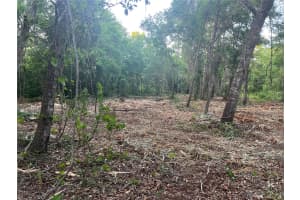 10117 ORLAND STREET, NEW PORT RICHEY, FL 34654 - MLS#MFRTB8470631