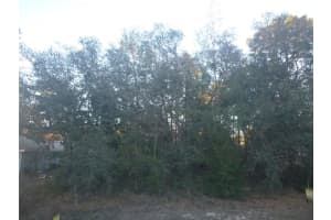 8253 N KROUSE WAY, DUNNELLON, FL 34433 Sold 03/18/26