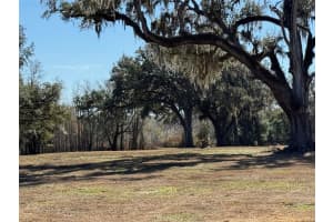 37214 HESTER ROAD, DADE CITY, FL 33525 - MLS#MFRTB8470667