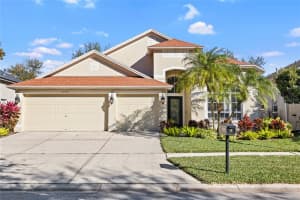 15501 MARTINMEADOW DRIVE, LITHIA, FL 33547 - MLS#MFRTB8470677