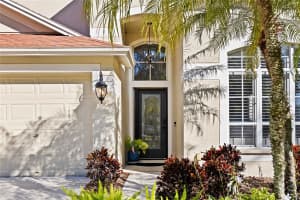 15501 MARTINMEADOW DRIVE, LITHIA, FL 33547 - MLS#MFRTB8470677