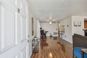 134 SYCAMORE LANE, OLDSMAR, FL 34677 - MLS#MFRTB8470705