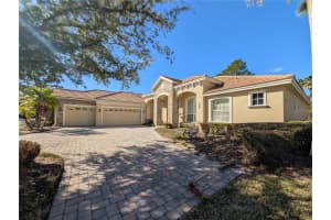 8492 DUNHAM STATION DRIVE, TAMPA, FL 33647 - MLS#MFRTB8470731