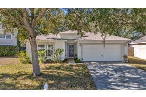 30244 BIRDHOUSE DRIVE, WESLEY CHAPEL, FL 33545 - MLS#MFRTB8470751