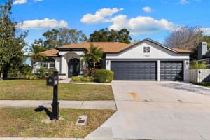 2803 Jarvis Cir, PALM HARBOR