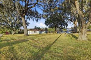 31505 SAINT JOE ROAD, DADE CITY, FL 33525 - MLS#MFRTB8470782