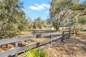 SHOREWOOD DR, DADE CITY, FL 33523 - MLS#MFRTB8470835