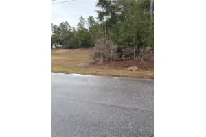 SW 202ND CT &SW 63RD PL, OCALA, FL 34471 - MLS#MFRTB8470840