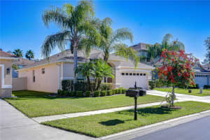 3116 GRANITE RIDGE LOOP, LAND O LAKES, FL 34638 - MLS#MFRTB8470850