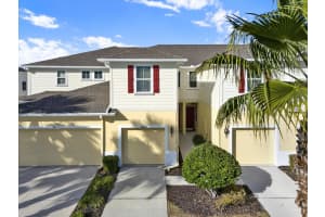 10822 VERAWOOD DRIVE, RIVERVIEW, FL 33579 - MLS#MFRTB8470860