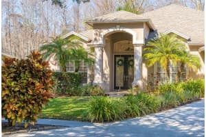 19321 Wind Dancer St, LUTZ