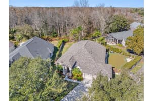 19321 WIND DANCER STREET, LUTZ, FL 33558 - MLS#MFRTB8470895