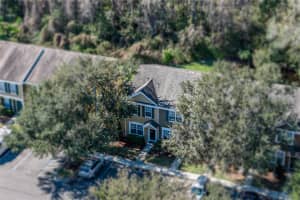 1219 KENNEWICK COURT, WESLEY CHAPEL, FL 33543 - MLS#MFRTB8470904