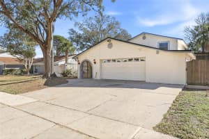4024 DELLBROOK DRIVE, TAMPA, FL 33624 - MLS#MFRTB8470956