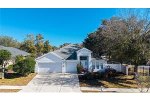1128 HELMSDALE DRIVE, WESLEY CHAPEL, FL 33543 - MLS#MFRTB8470961