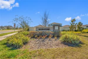 20076 AZUL MARBLE LOOP, LAND O LAKES, FL 34638 - MLS#MFRTB8470968