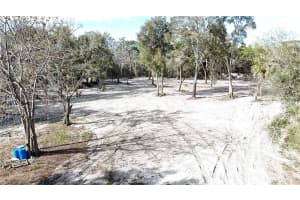 12510 ROBINHOOD ROAD, HUDSON, FL 34669 - MLS#MFRTB8470971