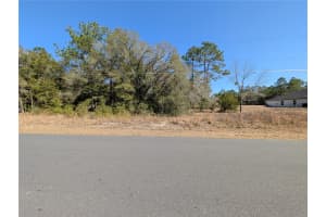 SW SOUNDVIEW DR, DUNNELLON, FL 34431 - MLS#MFRTB8471023